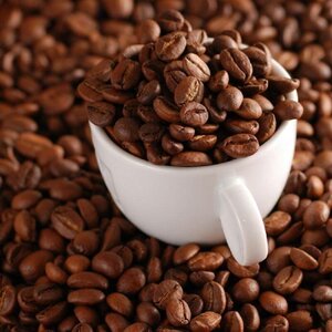 FT Bonenkoffie 1kg